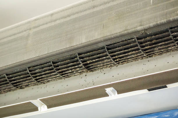 Reliable Romancoke, MD Airduct Cleaning Solutions